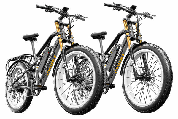 Cysum M900 × 2 Vélo électrique tout-terrain 48V*17Ah Autonomie 80-120 km (batterie de rechange incluse)