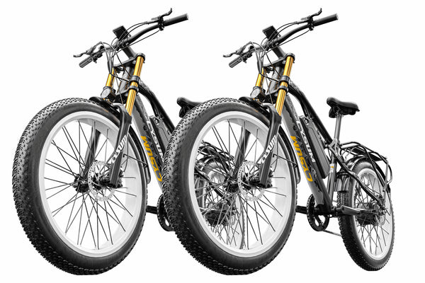 Cysum M900 × 2 Vélo électrique tout-terrain 48V*17Ah Autonomie 80-120 km (batterie de rechange incluse)