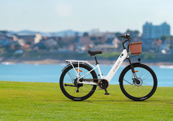 Top 5 des Plus Belles Pistes Cyclables de France en 2026 : Le Guide Ultime à Vélo Électrique