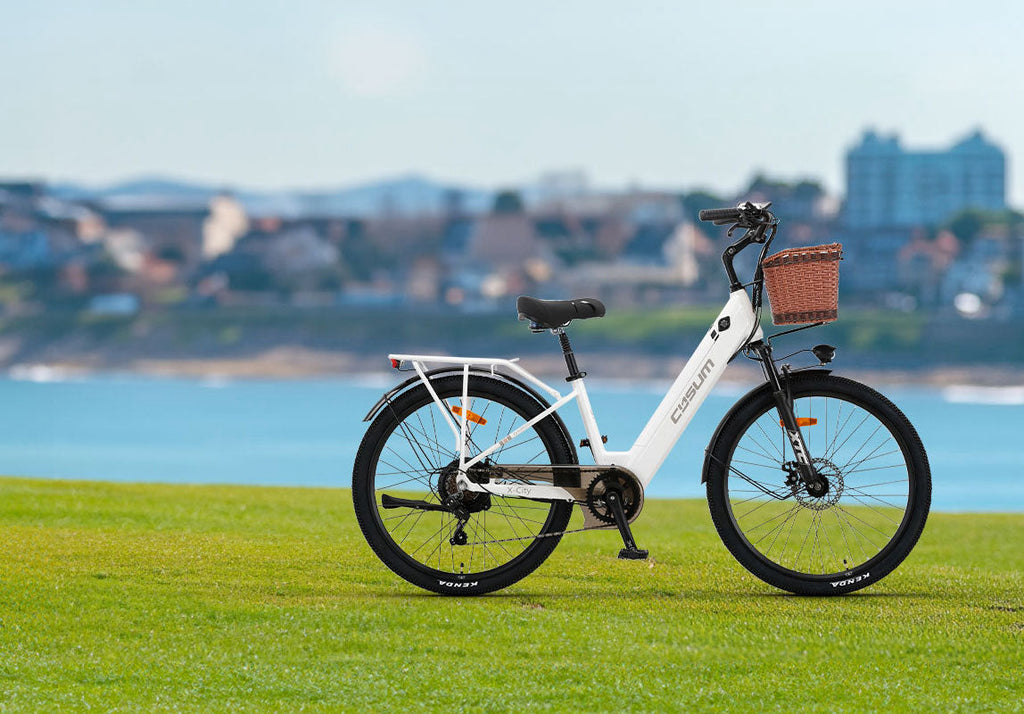 Top 5 des Plus Belles Pistes Cyclables de France en 2026 : Le Guide Ultime à Vélo Électrique