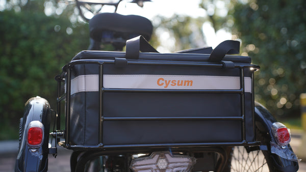 Comment un tricycle électrique a changé mon quotidien : une histoire vraie