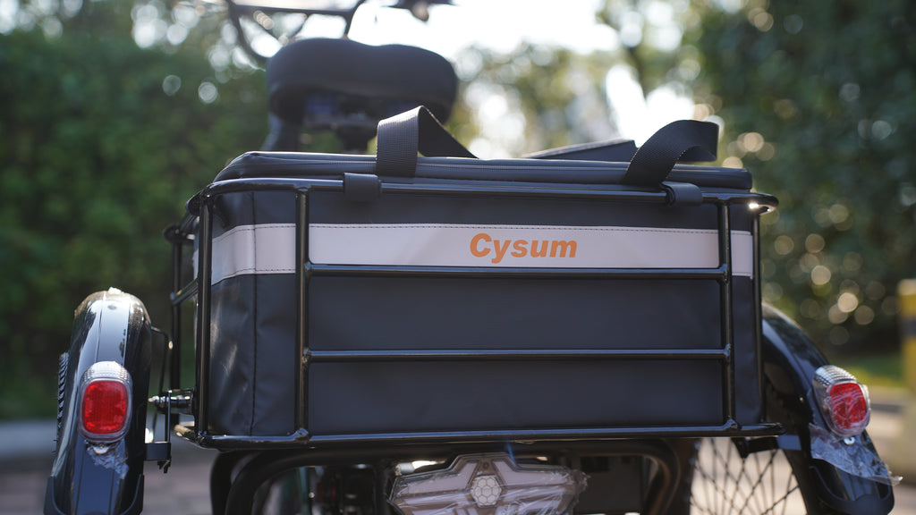Comment un tricycle électrique a changé mon quotidien : une histoire vraie