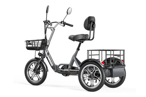 T1 Tricycle électrique