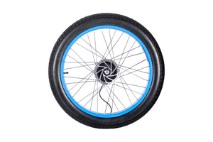 Roue arrière de vélo électrique M900