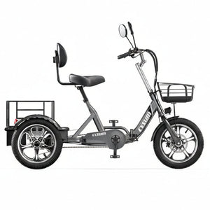 T1 Tricycle électrique