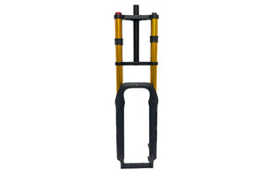 CM900 PLUS pour vélos électriques Fourche