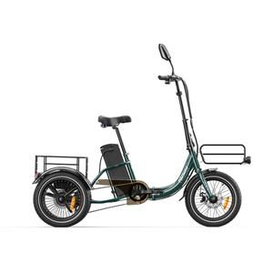Tricycle Électrique KA1