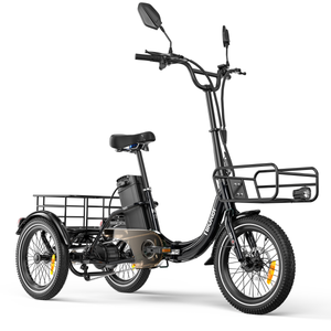 Tricycle Électrique KA1