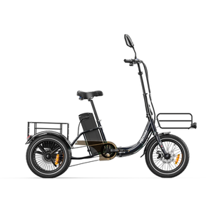 Tricycle Électrique KA1