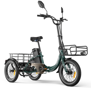 Tricycle Électrique KA1