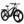 Speedy Vélo électrique 29